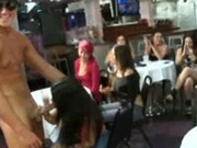 Hot Babes Blowjobs Strippers
